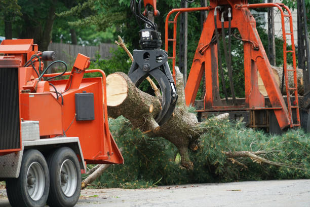 Mulching Services in Wilburton, OK